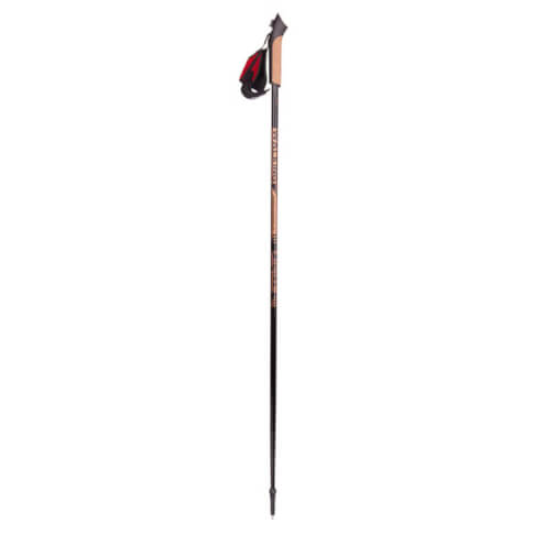 Kijki do nordic walking Paras 125cm Viking