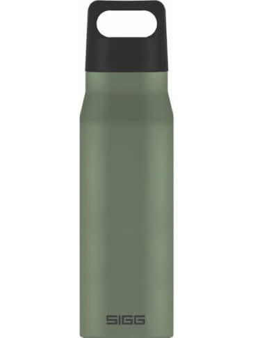 Butelka turystyczna Explorer Leaf Green 1.0L SIGG